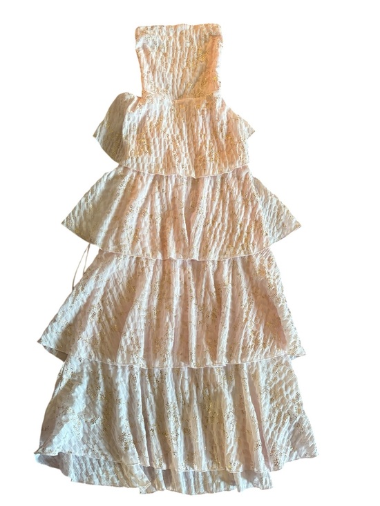 Lucy in the Sky Dresses & Skirts - Lucy in the Sky Blush Metallic Floral Tiered Lace Up Back Maxi Dress Small